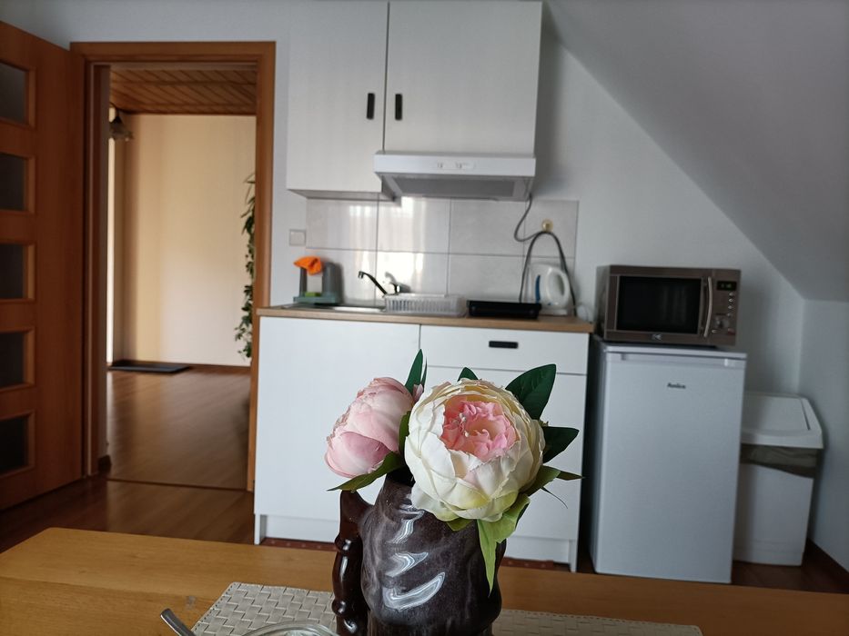 Noclegi w Gorach Szczawnica wolny APARTAMENT LILA Zapraszamy .