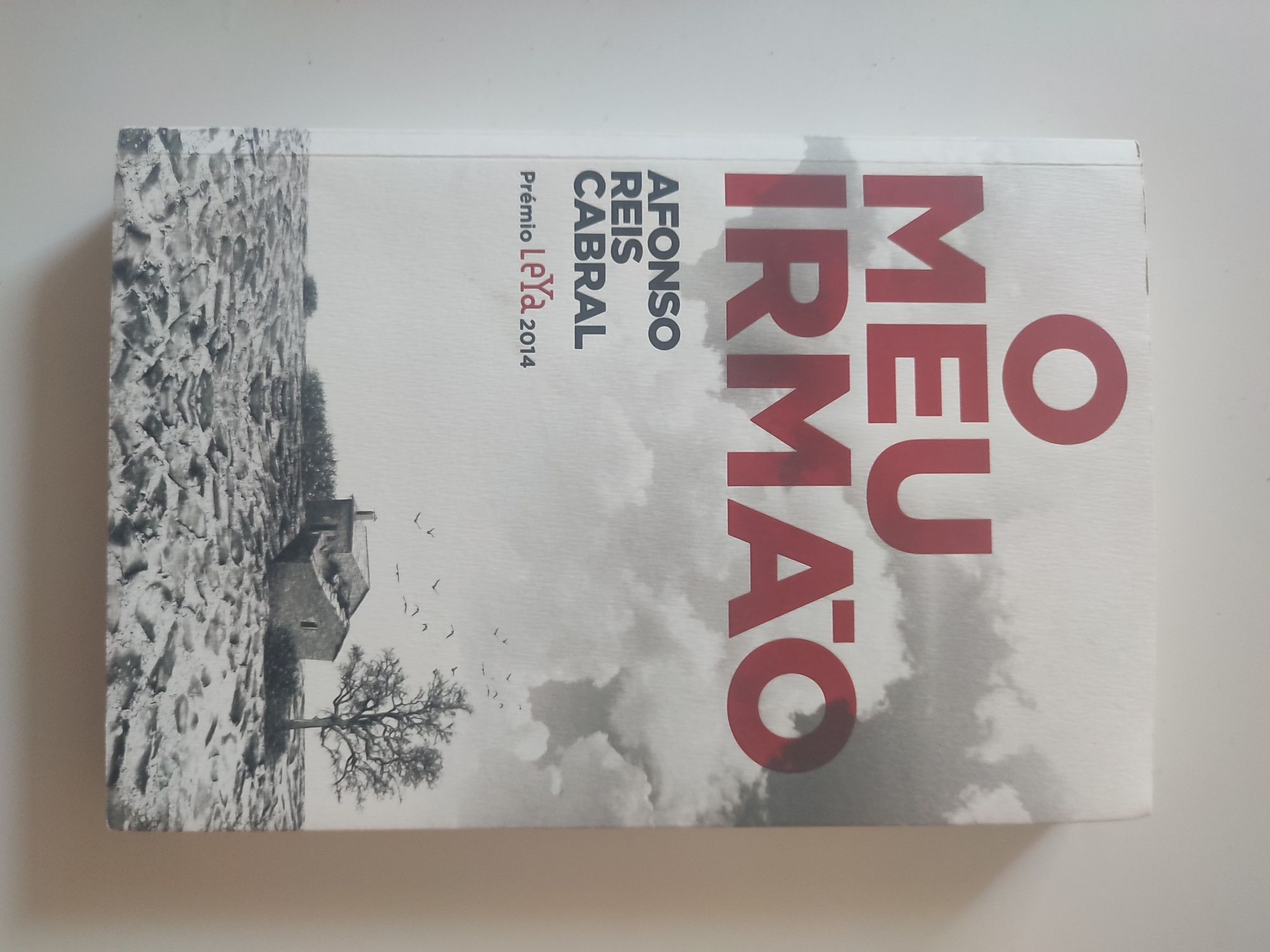 O meu irmão- Afonso Reis Cabral