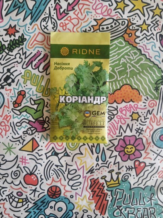 Продам семена на рассаду