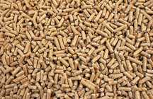 Pellet drzewny A1 worki 15kg PROMOCJA! +TRANSPORT!