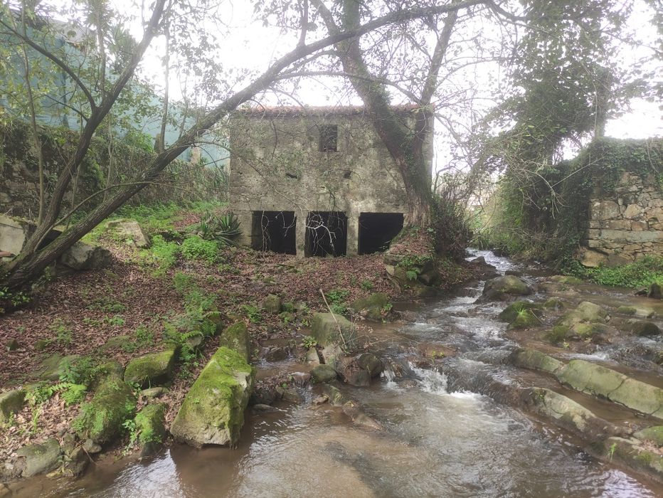 Moinho em Vila do Conde