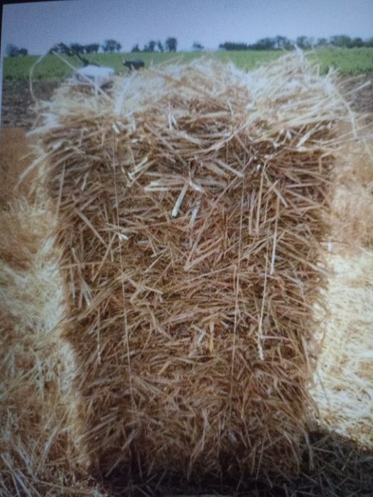 Продається солома