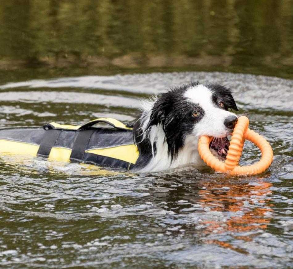 NOVO - TRIXIE Life Jacket, Colete Aquático cão, colete salva vidas