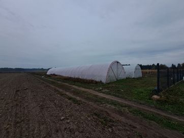 Tunel, tunele foliowe. 30x7. Foliak, namiot, szklarnia