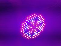 2 Luz de crescimento 80w