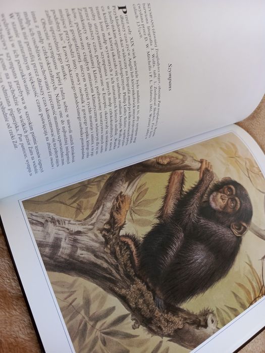 Historia Naturalna w Obrazach Ssaki twarda oprawa