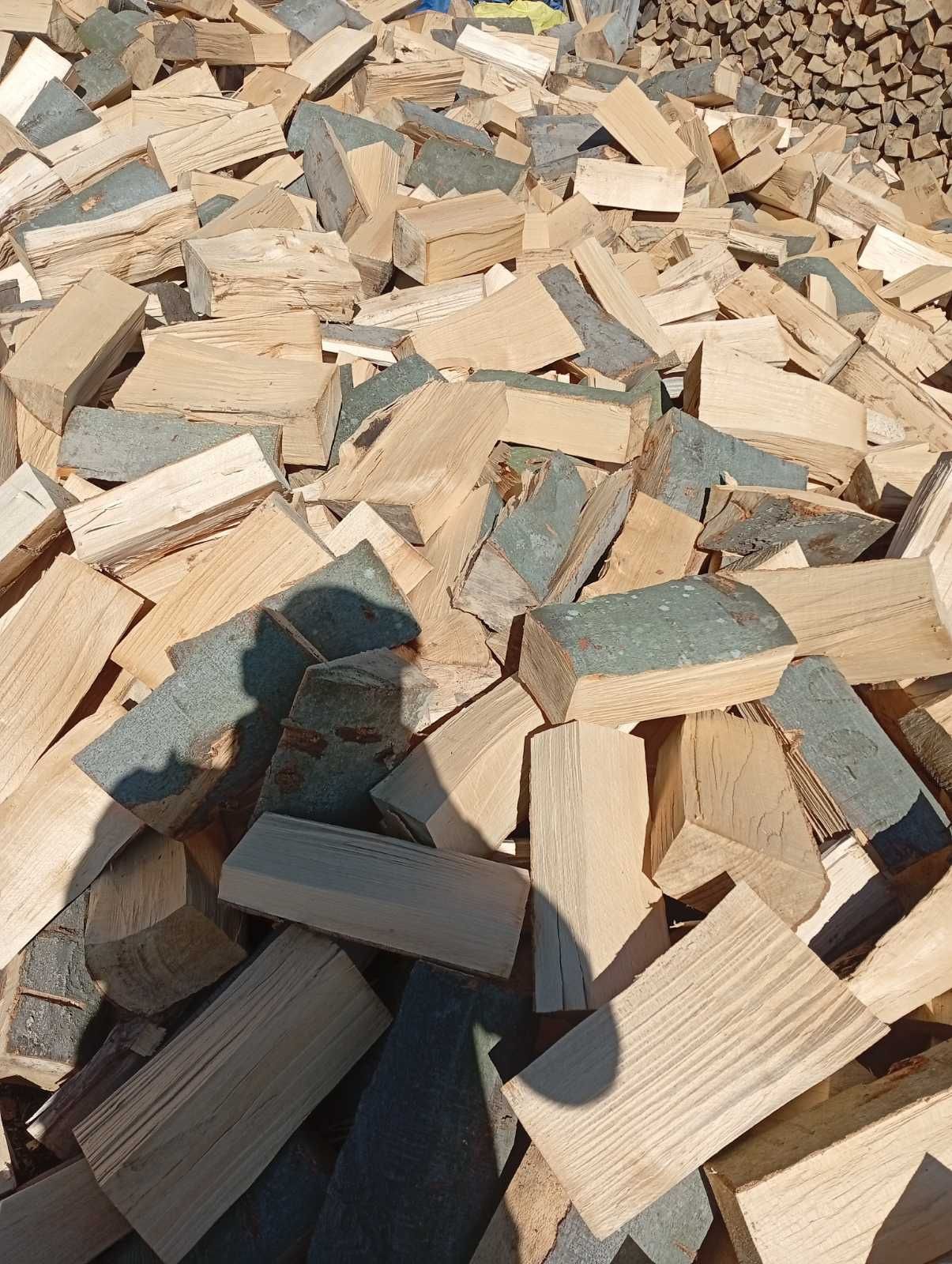 Продам  сухі дрова різні бук.