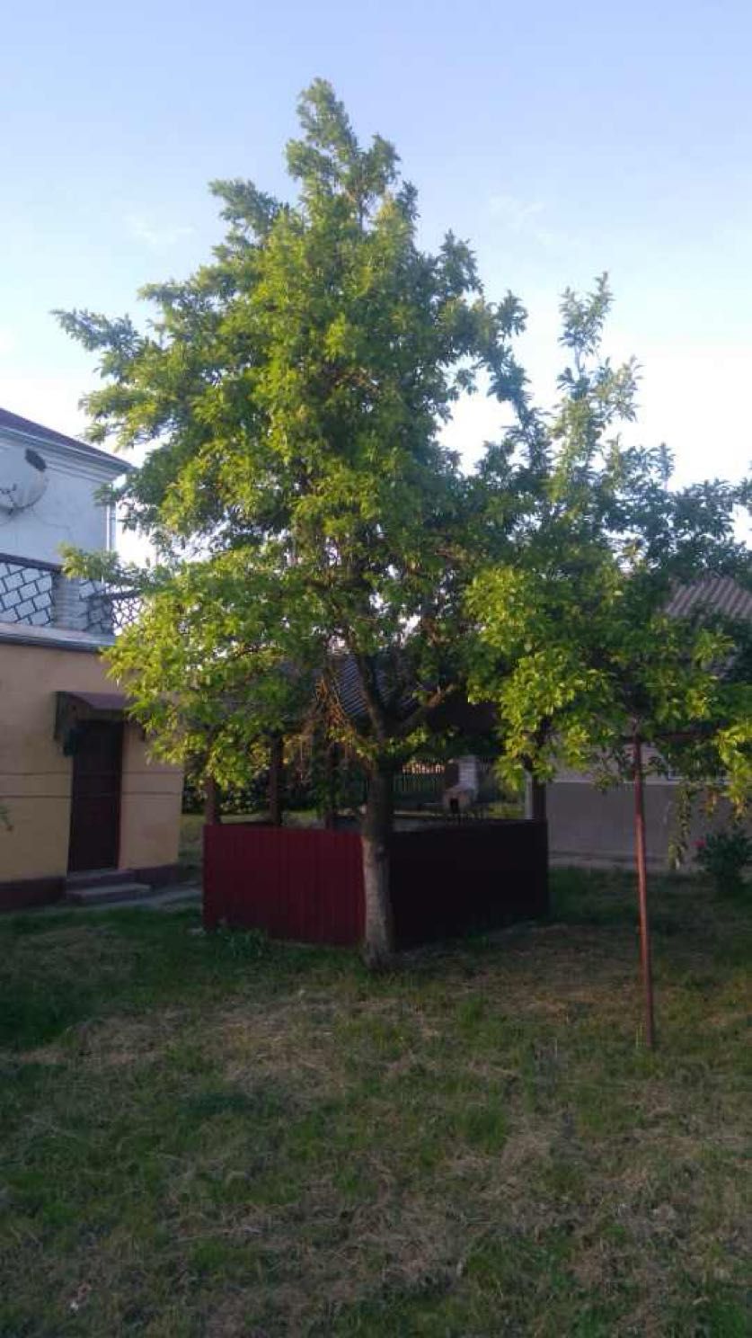 Продається Двоповерховий Будинок у смт. Сатанів, Хмельницька область