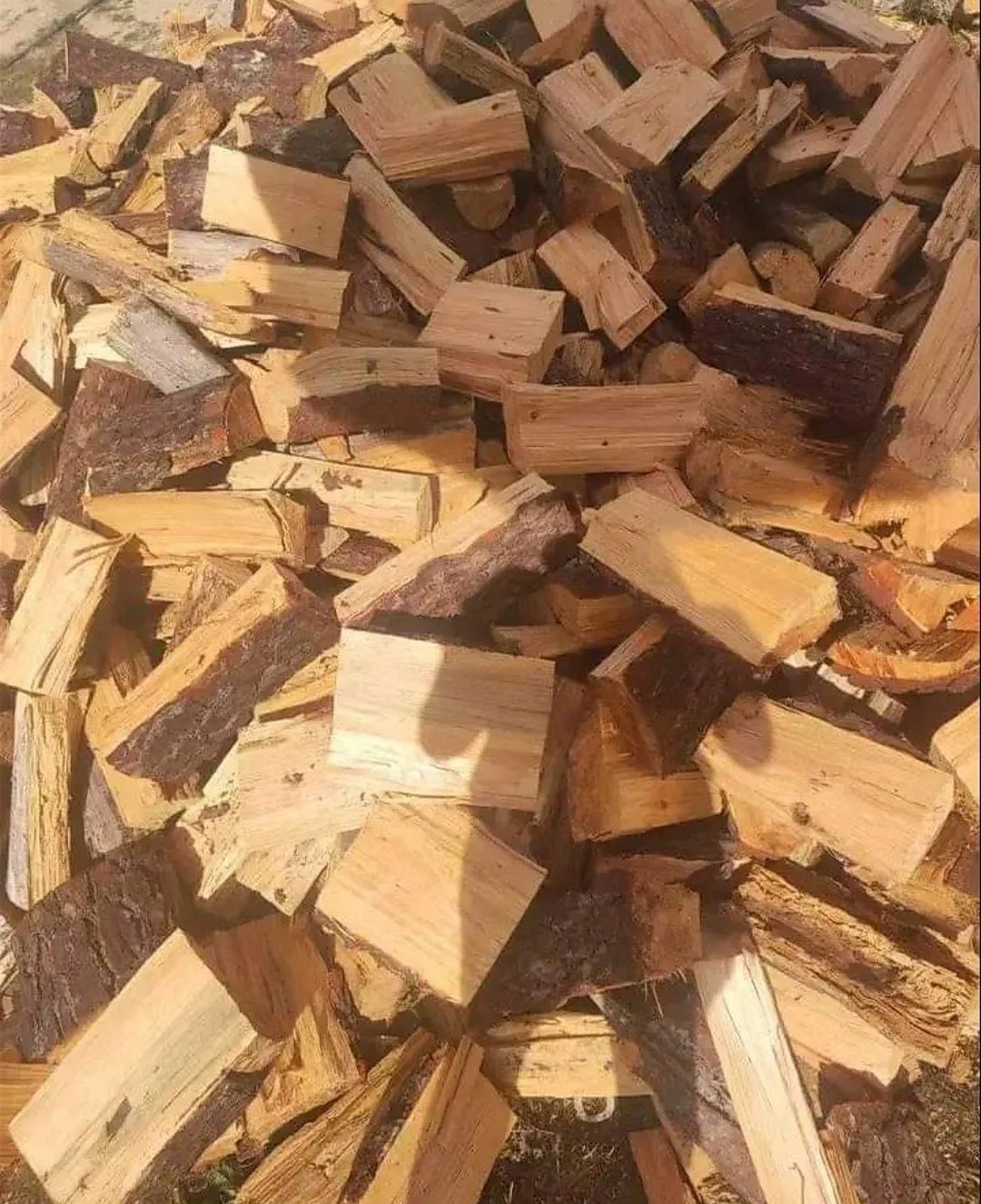 Venda lenha seca
