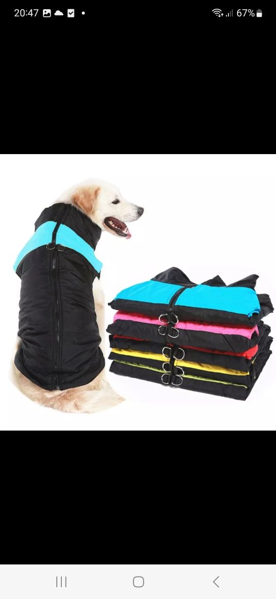 Nowa kurtka dla psa zimowa czarna niebieska wodoodporna 5xl