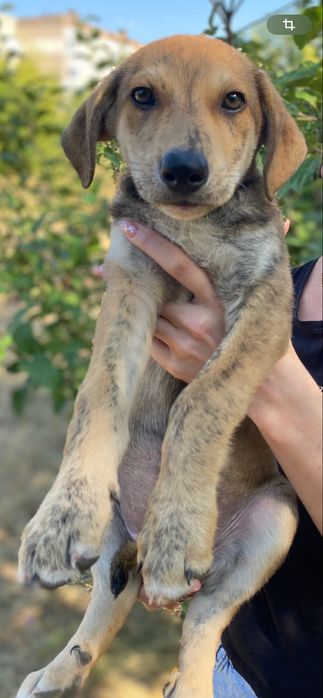 Девочка ищет заботливые ручки