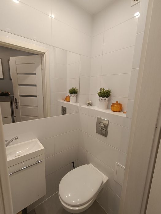 Wynajmę mieszkanie 3 pokoje