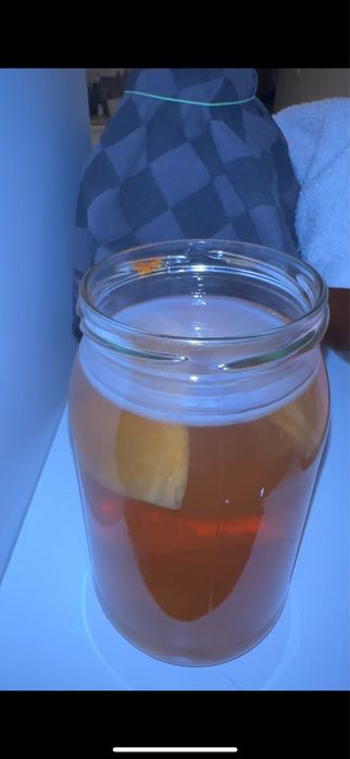 Kombucha grzybek herbaciany + starter