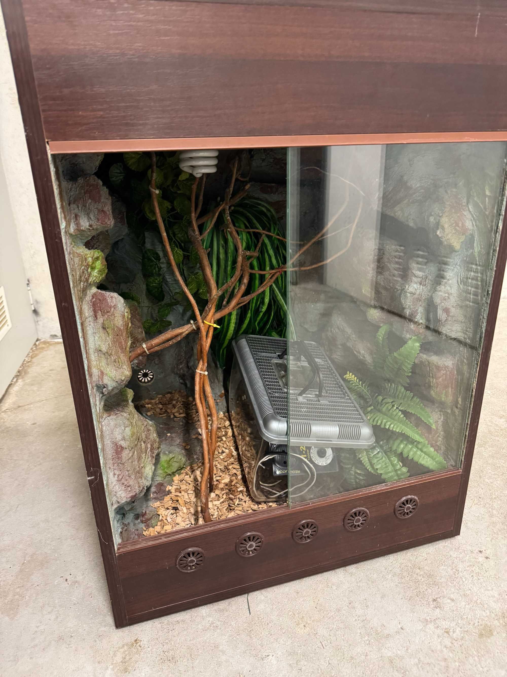 Terrarium dla kameleona