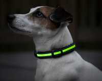 Świecąca obroża LED dla psa 45-53cm nowa