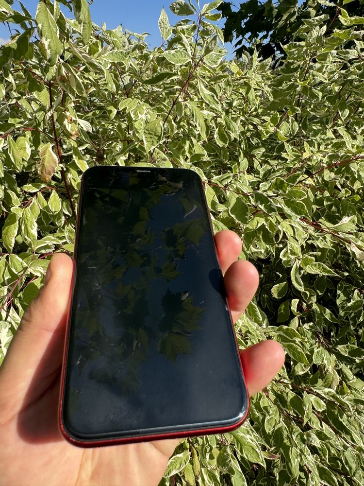 Продам IPhone XR 64 АКБ 86%