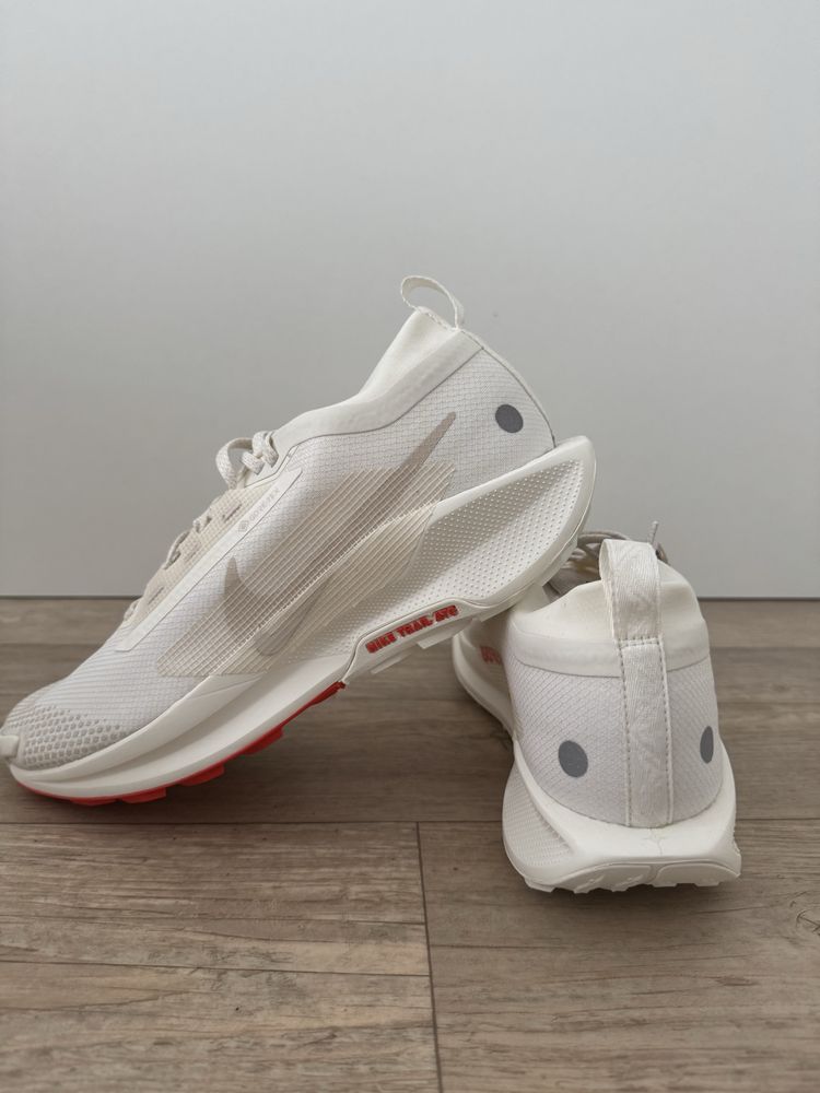 Nike Pegasus Trail 5 Gore-Tex