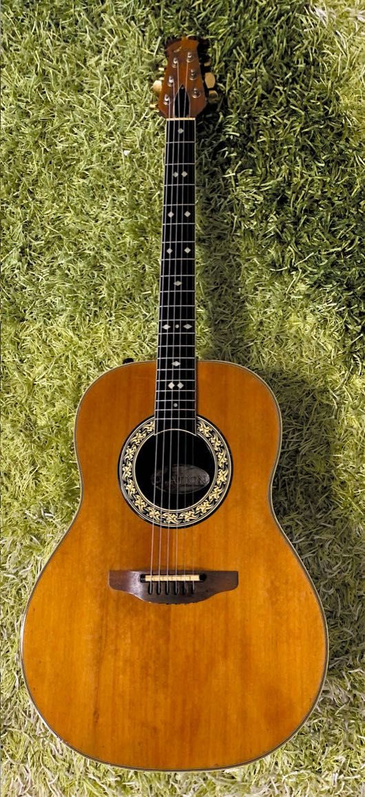 Guitarras especiais e raras