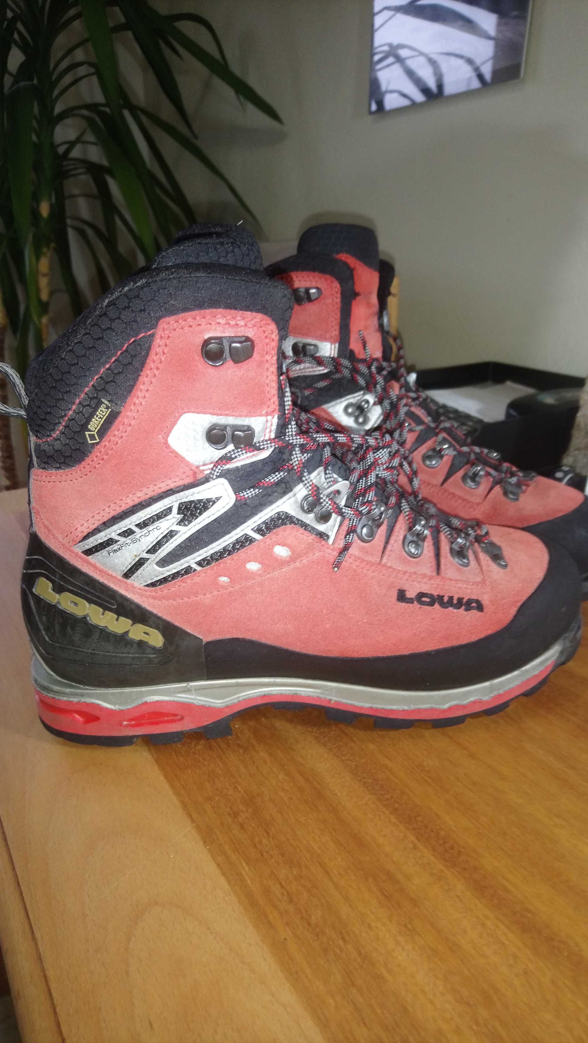 Buty Lowa Expert GTX EVO rozm.42