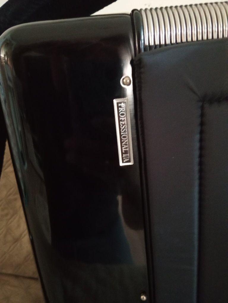Acordeon Dinno Baffetti Profissional I/A