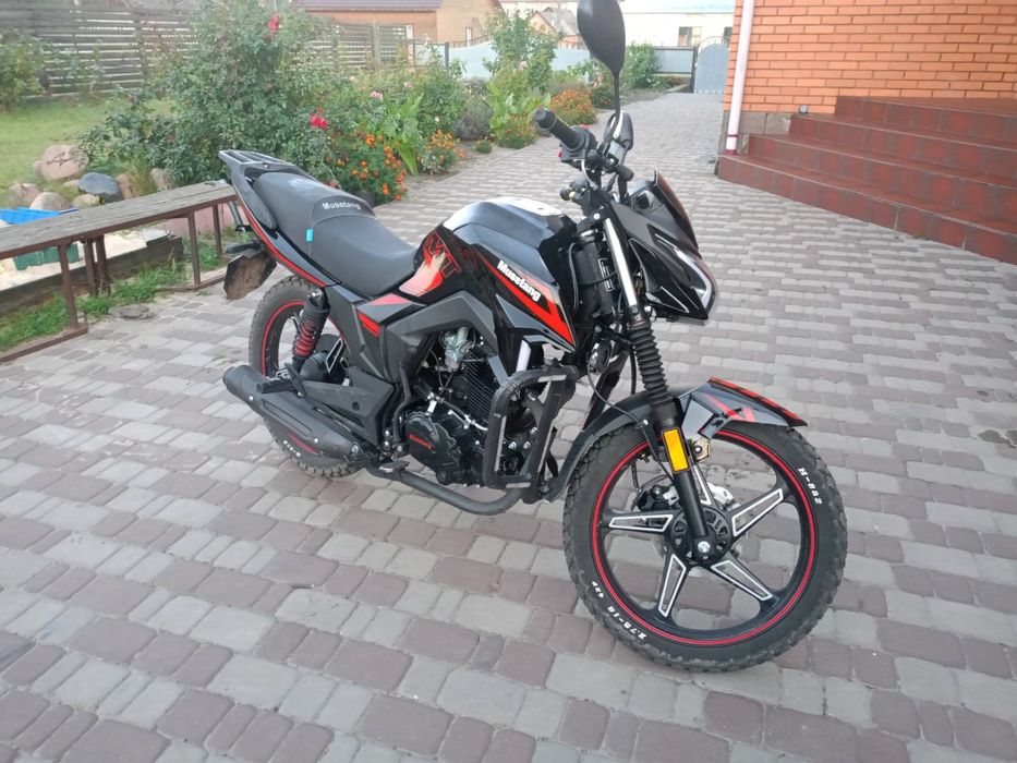 Musstang region mt 250