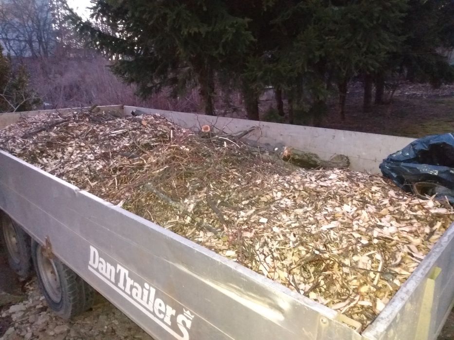 Rębak spalinowy tarczowy RTS-630