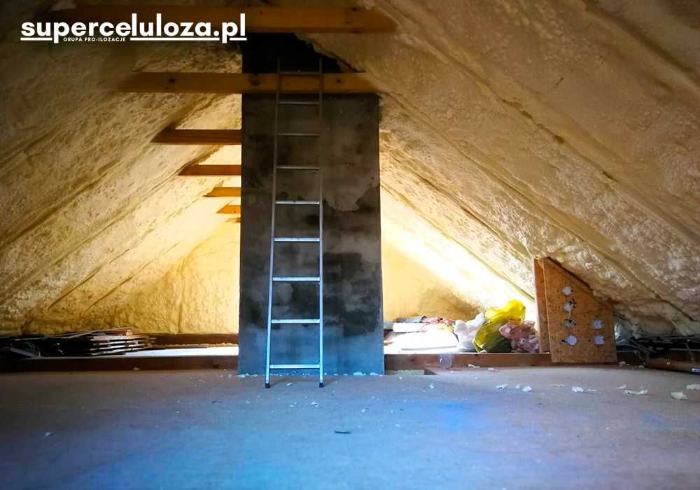 Naprawa dachu po kunie | Ocieplenia pianą PUR | Termowizja | Celuloza
