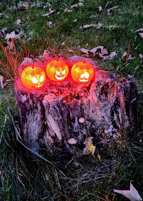 Zestaw Halloween