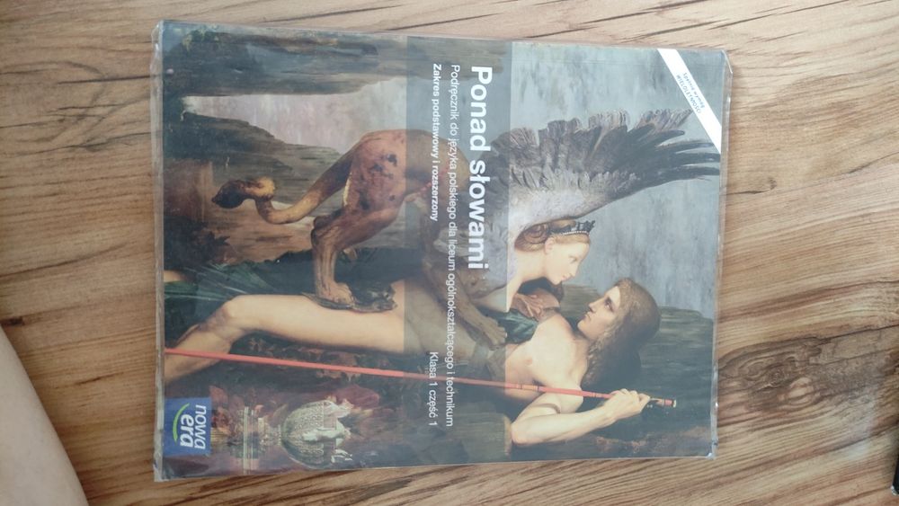 Ponad słowami zakres podstawowy i rozszerzony klasa 1 część y