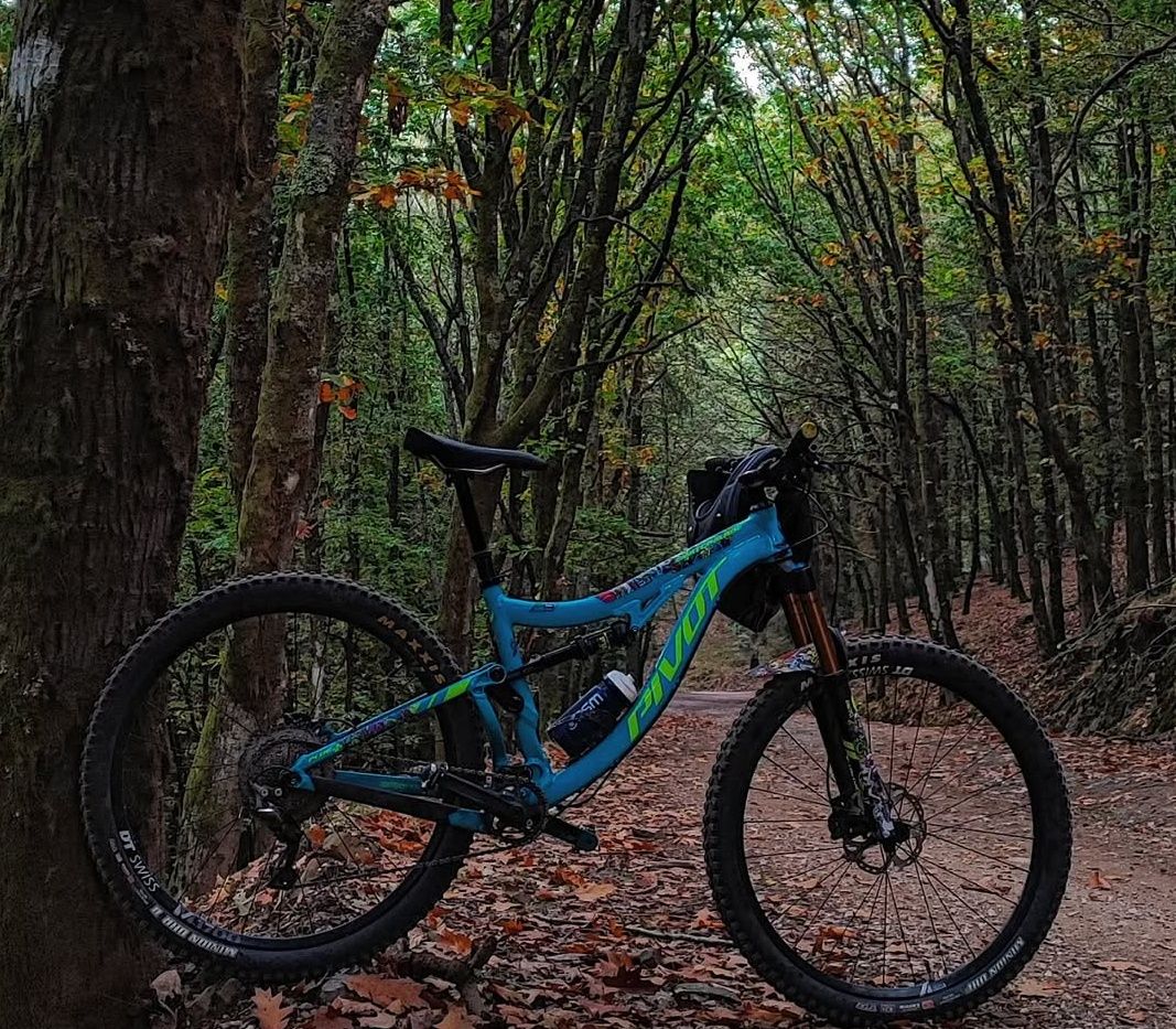 Pivot Switchblade