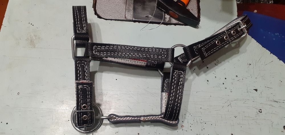 быку недоуздок кантар корове джерси голштын айширская абердин чёрный М