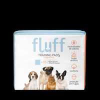 Tapetes Educativos para Cães e gatos Fluff