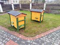 Nowy ule warszawski zwykły lub poszerzany