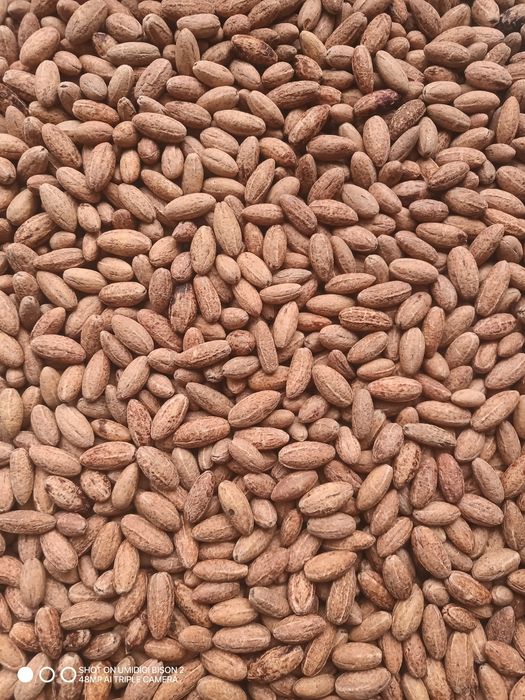 Кизил Дерен кісточки 0.5кг