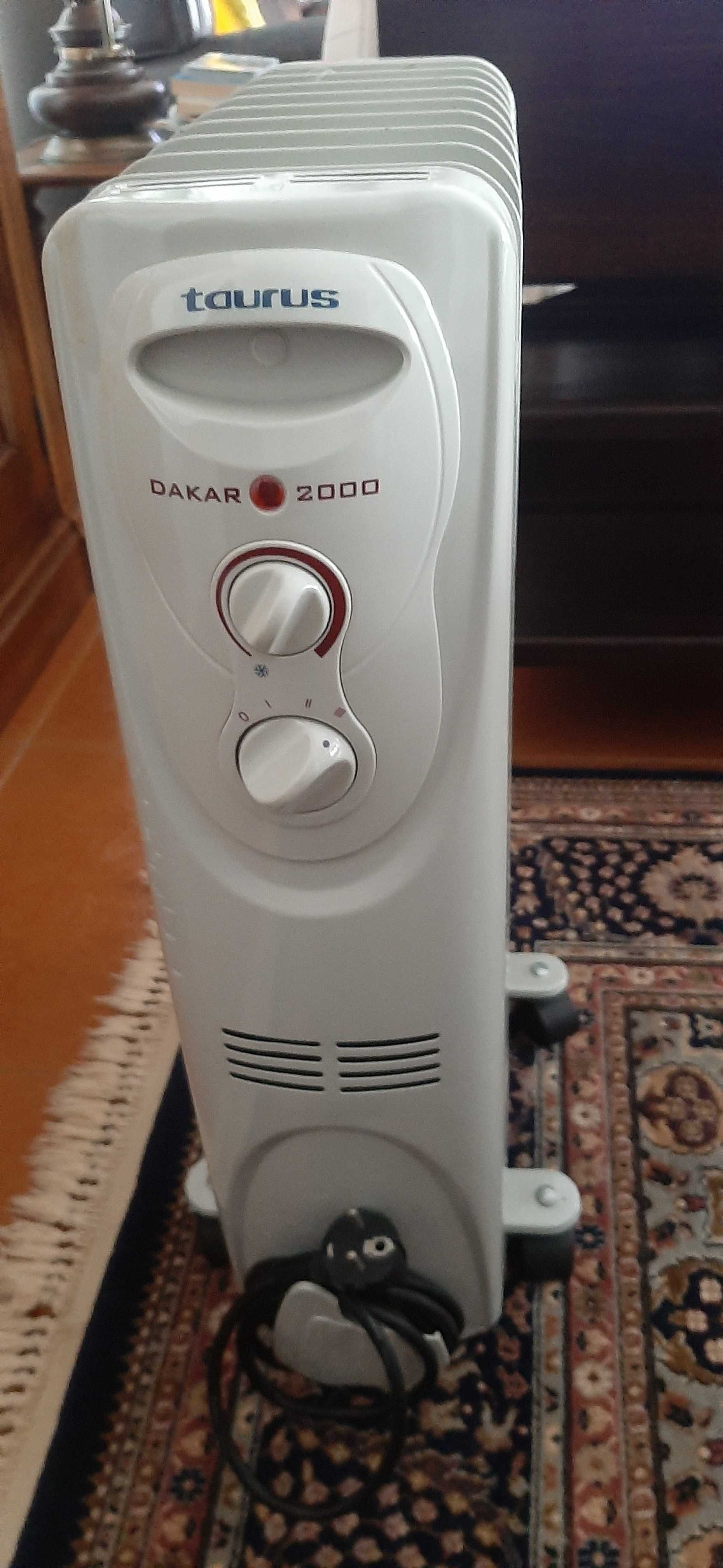 Aquecedor a óleo