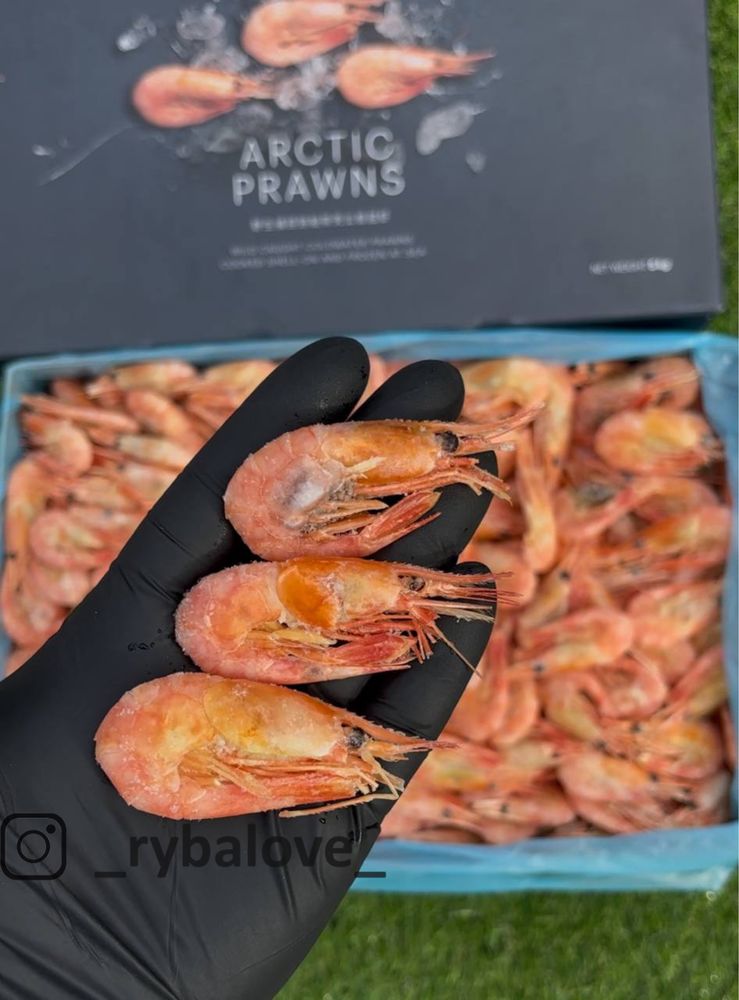 Крабове мʼясо VICI, Фарш Лосося, Мідії, Креветки, Оселедець, Лобстери