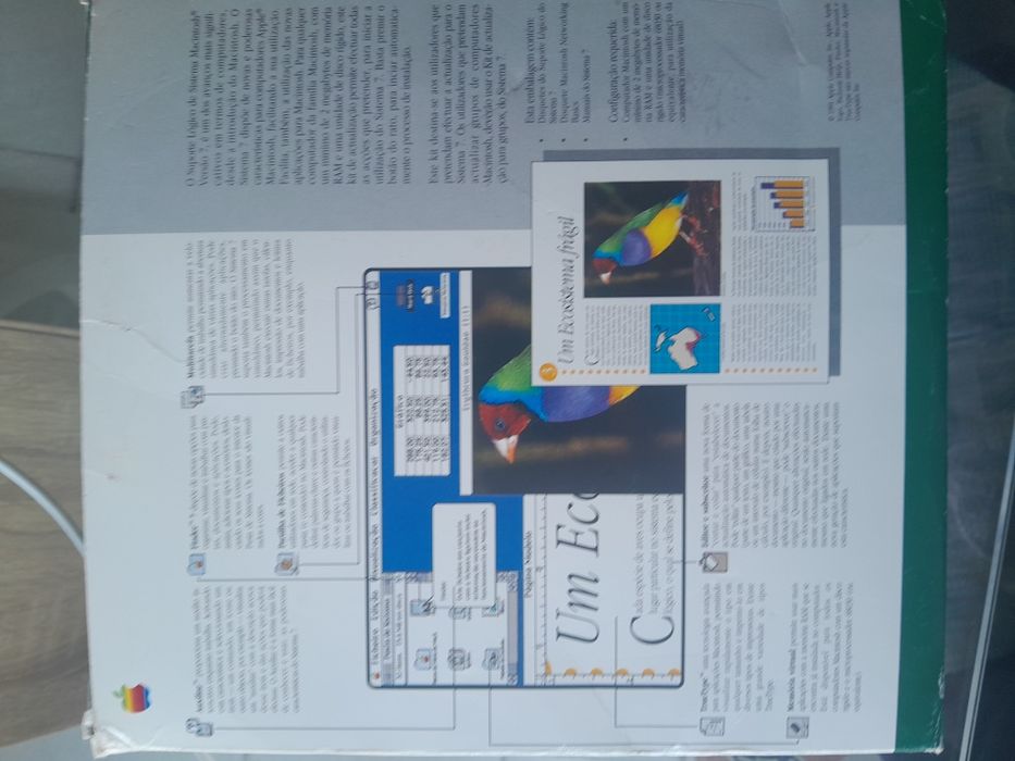 Kir Apple System 7 Update64552026494081124