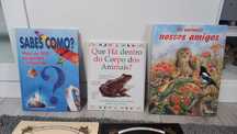 Livros infantis curiosidades histórias
