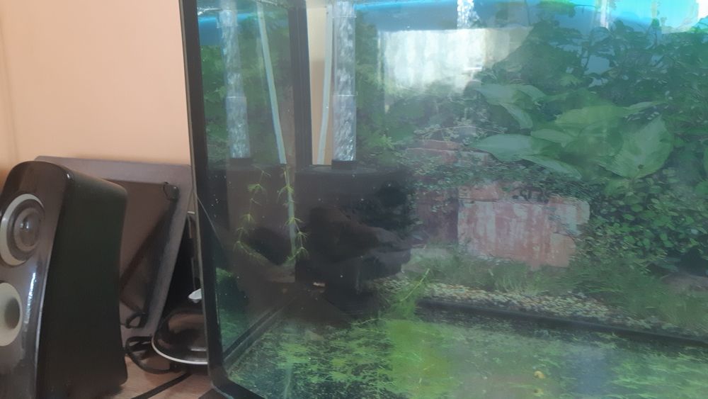 Sprzedam lub zamienię akwariumy 205 litrów 120 cm szerokość