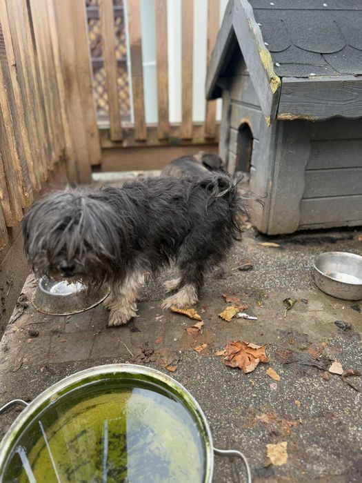 Pilne!!Blagam wyrwijmy z bud mamę i córkę z rąk psychicznego  Tarnów