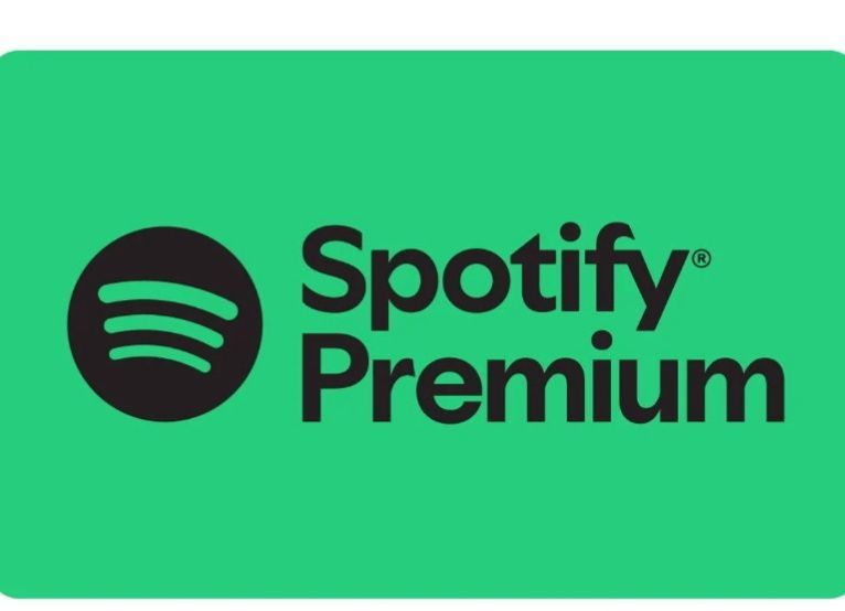 12 meses Spotify premium