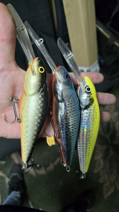 Salmo perch SDR 14 cm