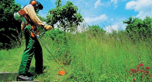 Limpeza de terreno