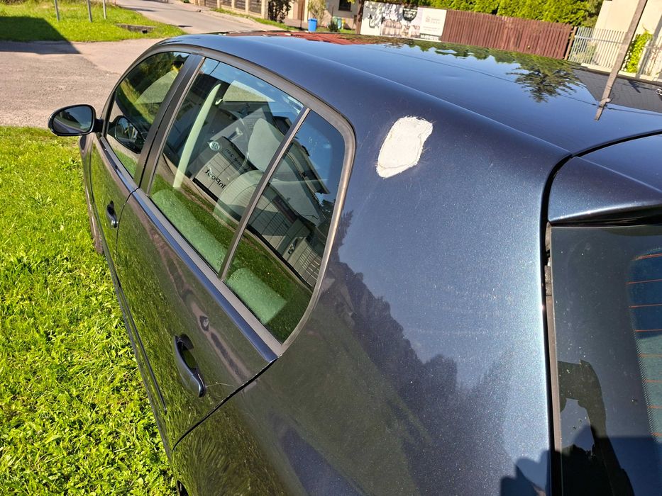 Volkswagen Golf V 2007  1.9 TDI 90KM