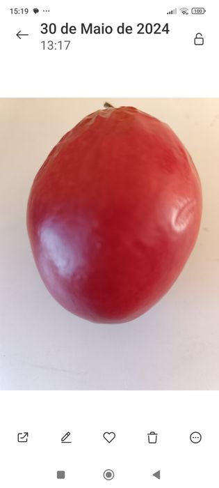 Vendo plantas tamarilho  e frutos