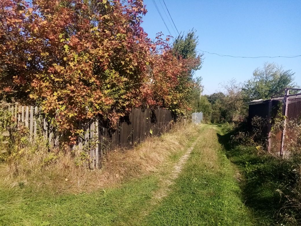 Дачна ділянка Дем'янів ЛАЗ