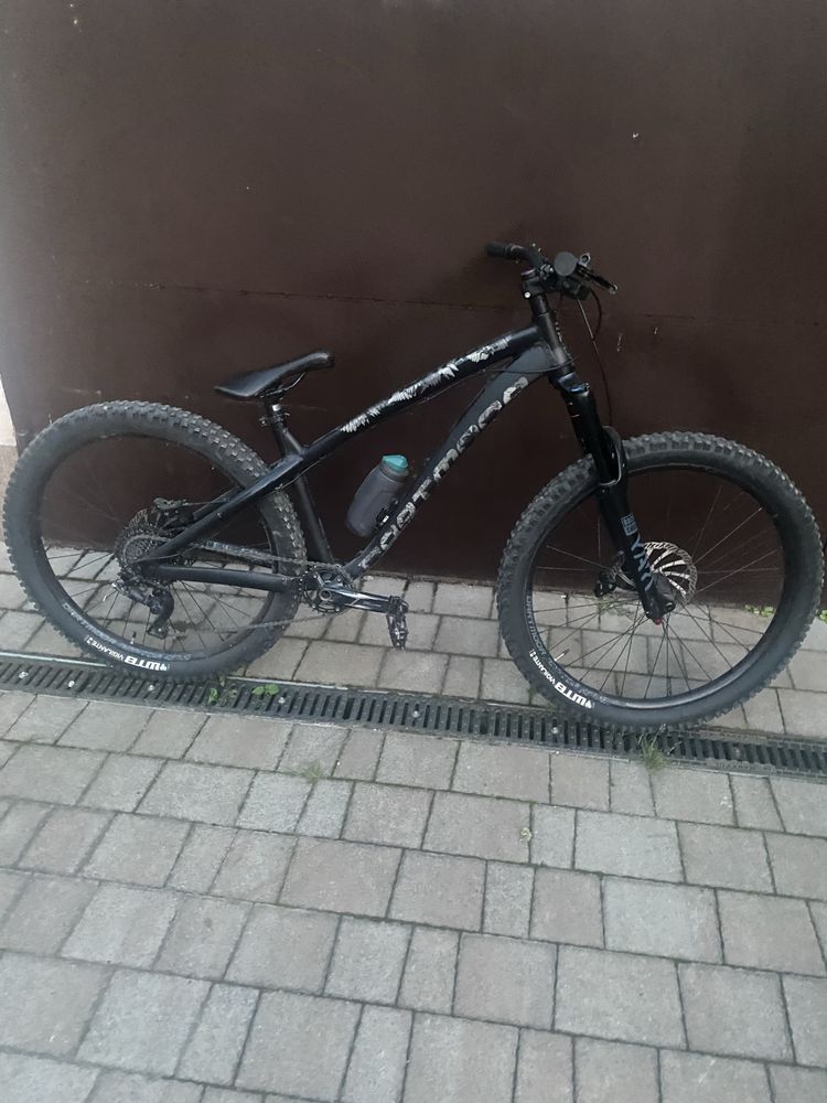 Dartmoor hornet tanio M