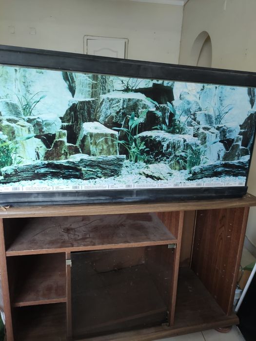 Aquário de 200L com móvel