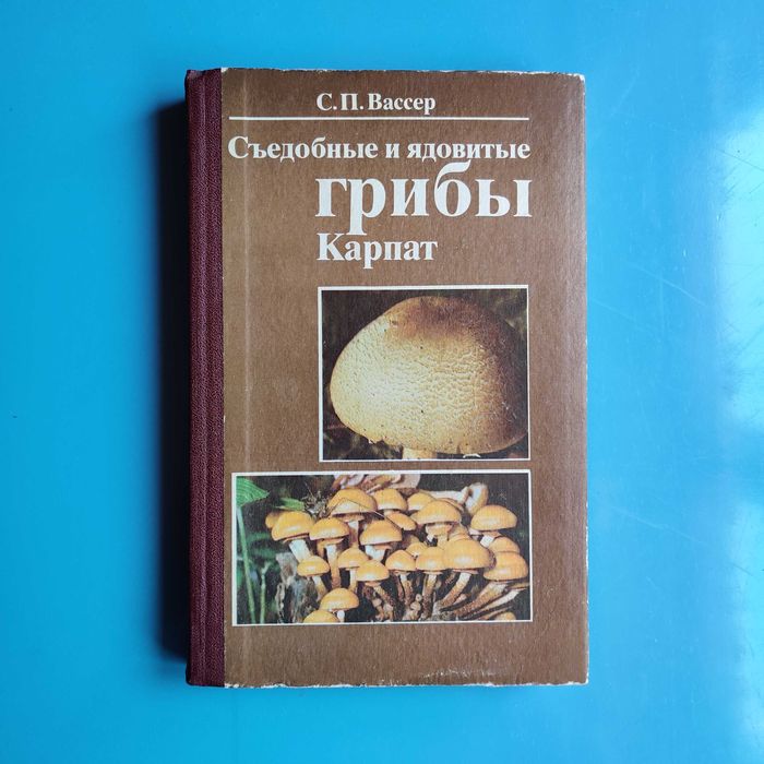 Съедобные и ядовитые грибы Карпат
