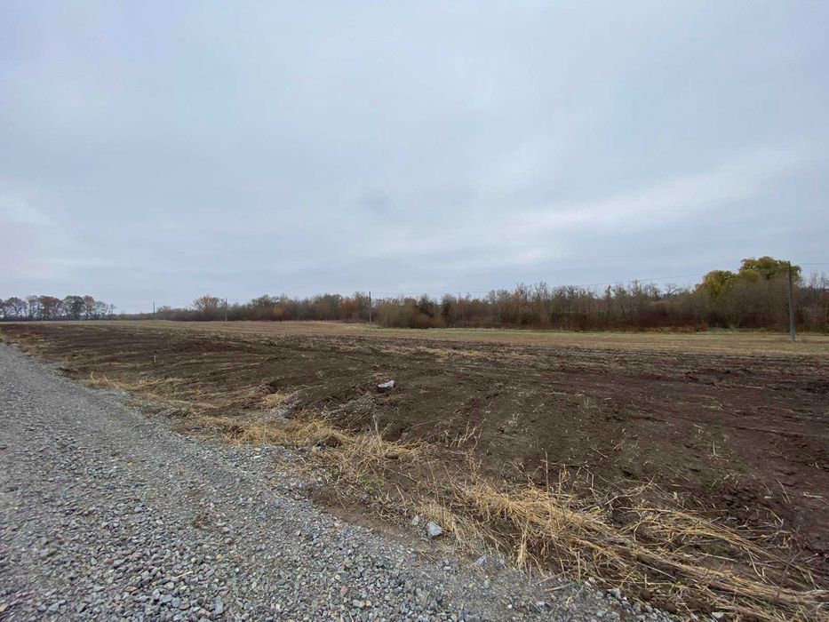 Продаж земельних ділянок під житл. забудову, 5 соток, Тяжилів, Костел